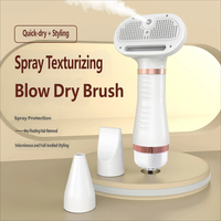 Brosse automatique rechargeable autonettoyante pour chat et animal de compagnie, outil rapide d'élimination des poils, pulvérisation de brume, massage, 3 vitesses, séchage à flux d'air constant