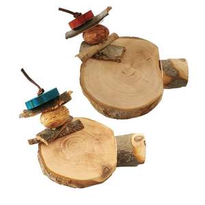 Piattaforma Rotonda in Legno Naturale Ecologica e Resistente per Pappagalli, con Divertente Stile Molar Carino, Adatta a Tutte le Stagioni - Product Image 4