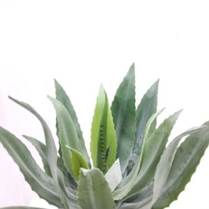 <span class=keywords><strong>Planta</strong></span> de plástico Artificial retardante de llama, simulación de bonsái decorativa, <span class=keywords><strong>maguey</strong></span> - Product Image 5