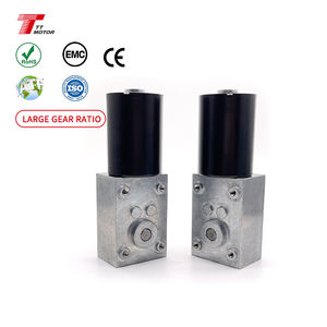 Engrenage à vis sans fin 12v 24v bldc moteur boîte de vitesses TWG4058-TEC3650 longue durée de vie moteur à vis sans fin sans balais - Product Image 1