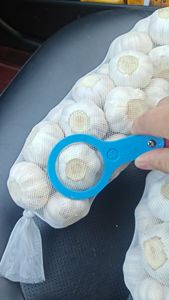 Granul Bawang Putih Kering Bubuk Panggang Kupas Kemasan Massal Langsung dari Pabrik - Product Image 6