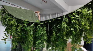 Plante verte artificielle <span class=keywords><strong>décoration</strong></span> <span class=keywords><strong>de</strong></span> plafond faux plafond plante suspendue artificielle feuilles arbre vigne <span class=keywords><strong>décoration</strong></span> - Product Image 5