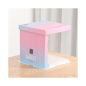 Hot Sale Best Quality Large Custom Printed Cake Packaging Box Plastic Transparent