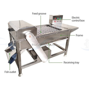 Machine à découper la viande fraîche en acier inoxydable / Machine à découper la viande de mouton / Machine à découper le <span class=keywords><strong>poisson</strong></span> - Prix - Product Image 2