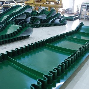 Thượng Hải bindi Made màu xanh lá cây PVC phẳng/song song/nghiêng vành đai Hệ thống băng tải - Product Image 6