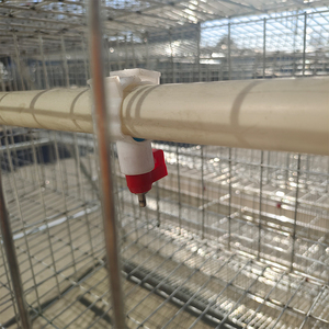 Zimbwe Dubai negria กรงนกชั้นอุปกรณ์เลี้ยงสัตว์ปีกอัตโนมัติสำหรับนกขายในมาเลเซีย - Product Image 3