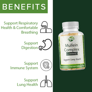 Gomitas de Complejo de Gordolobo con Quercetina, D3 y Bromelina, Venta Caliente OEM/ODM, Apoyo para el Sistema Respiratorio, Digestivo e Inmunológico - Product Image 3