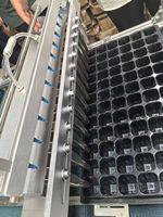 Multifunktionale automatische Saatgut-Sämaschine für schwimmende Anzuchtplatten mit Bodenfüll- und Lochstanzfunktion für die Sämlingskultivierung