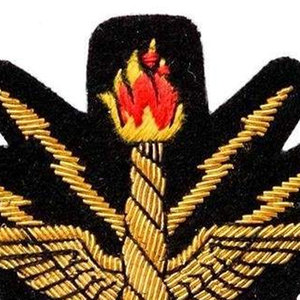 Badge brodé à la main en fil de soie de qualité supérieure, accessoire de mode pour vêtements, vente en gros - Product Image 3