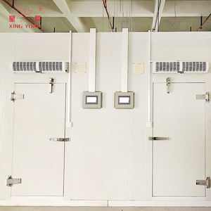 Porte pivotante salle de stockage, axe pivotant, sexy et froid - Product Image 2