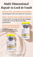Sérum de soin de la peau pour le visage OEM, effet repulpant, lifting du visage en V, anti-âge, poudres lyophilisées, ampoules de collagène