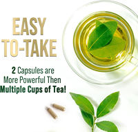 Capsules de thé vert matcha végétalien en gros – Antioxydant beauté, brûle-graisse, amincissant – Compléments alimentaires à l'extrait de thé vert pour femmes