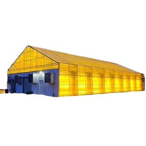 Hemp Planting in Light Deprivation Greenhouse - Product Image 2