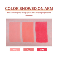 Stick de blush personnalisé en marque propre, maquillage naturel pour le visage longue tenue, haute pigmentation, crème cruelty-free, format voyage