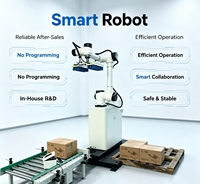 Máquina Inteligente de Paletización Cobot, Robot de Apilamiento Industrial de Bajo Mantenimiento con Servicio Postventa Completo