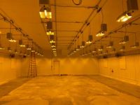 Lámpara de Cultivo Risen HPS de 1000 Vatios, Lámpara de Cultivo Gavita Pro HPS de Doble Extremo de 1000 Vatios con Balastro Electrónico