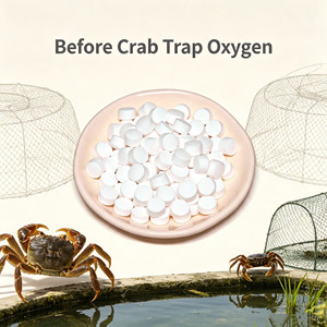 Comprimés d'oxygène de marque HS pour la réanimation des poissons, crevettes et crabes en cas d'hypoxie dans les étangs, avec vitamines et acides aminés de qualité alimentaire - Product Image 4