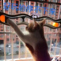 Jouet pour chat intelligent Ballsnter, balle interactive pour chat, balle à ventouse pour chat, balle à mouvement rapide, appel d'oiseau, balle à roulement