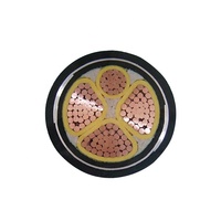Cable de Minería Industrial de Cobre y PVC con Clasificación IP67, Cable Subterráneo para Carbón de 0.6/1kV 4-70mm 1000m CPE/Neopreno 1.5-240mm2 16-300mm2