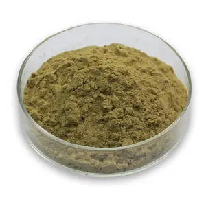 纯天然优质原料枇杷叶提取物粉