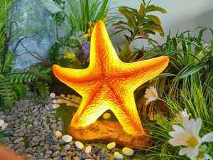 Lampe de jardin LED 5W en forme d'étoile de mer, en résine et fibre de verre, indice IP65, alimentation électrique, idéale pour les décorations de mariage et d'Halloween - Vente chaude - Product Image 1