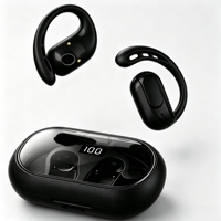 Écouteurs sans fil OWS à batterie remplaçable, Bluetooth 6.0, à oreille ouverte, avec haut-parleur de 13 mm, chargement Type C, crochets d'oreille, casque de sport