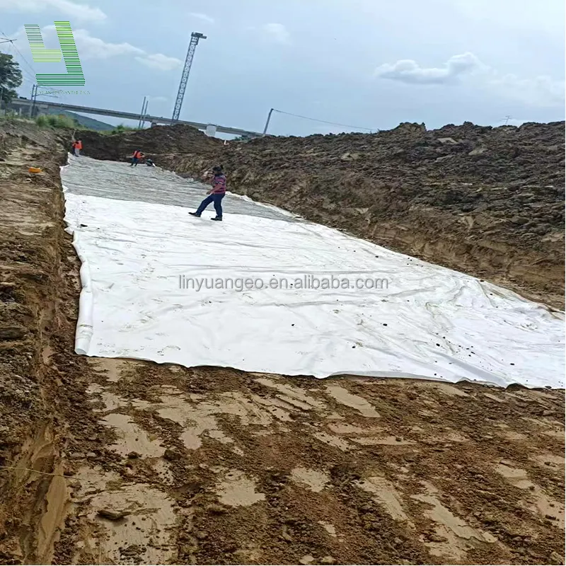 Civil Engineering Construction Non-woven and Woven Geotextile 100KN Fabric PET Filament Geotextile Needle Punched