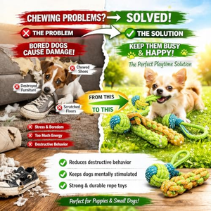 New Durable Interactive Eco-friendly <b>Dog</b> Molars Teeth Cleaning Toy <b>Stick</b> Set Candy Color Woven Cotton Rope Pet Supplies - Product Image 3