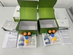 LSY-30006 Green Spring <strong>Classical</strong> Swine Fever Virus CSFV Antibody <strong>ELISA</strong> Assay Kit - Product Image 4