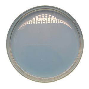 Cosmetische Grondstoffen Ethanolamine-Thioglycolaat Cas 126-97-6 Ethanolamine Thioglycolaat Ondersteunen Maatwerk - Product Image 2