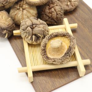 シイタケブロック栽培高品質乾燥真菌卸売オリジナル味付け - Product Image 4