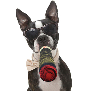 Drôle grinçant chien jouets pour dents nettoyage Animal Cigarette Style chien jouets Joint Joint mâcher jouets herbe carlin - Product Image 2