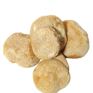 Экстракт гриба - Product Image 2