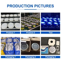 Projecteur LED Submersible Water Faery 12V IP68 pour Piscine, Blanc, 10W à 35W, Télécommande, Durable, pour Éclairage de Piscine à Basse Tension Sûr
