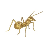 Résine 3D doré, 1 pièce, nouveau modèle en forme d'insecte, cadeau pour décorer la maison, vente en gros