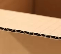 Boîtes de colisage personnalisées pour plantes, boîtes d'expédition sans ruban adhésif, boîtes à fermeture éclair faciles à ouvrir