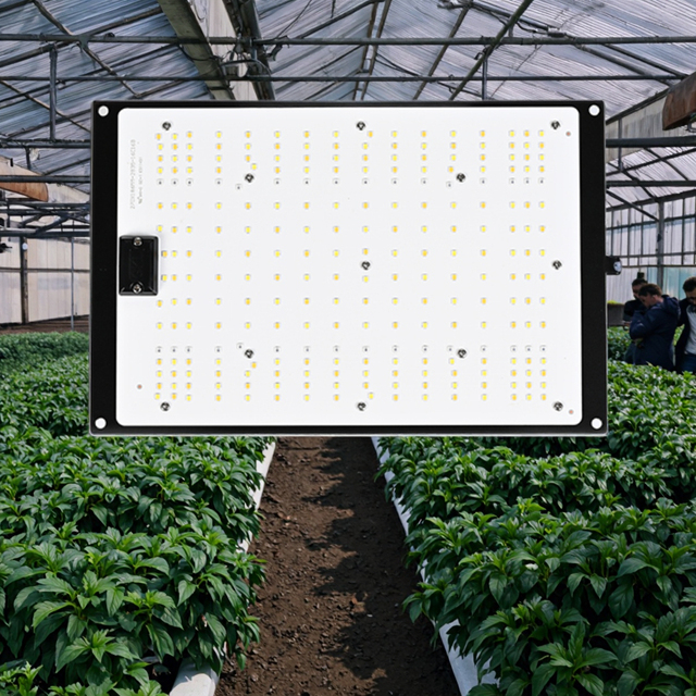 200W LED Grow Light LM281B Full Spectrum for Flowers Vegetables 2 Models Dimmable Phyto Lamp for Greenhouse Plant Waterproof