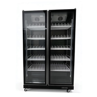 Réfrigérateur commercial à double porte vitrée pour boissons, vitrine réfrigérée, économie d'énergie, refroidisseur de boissons pour bar, restaurant, commerce de détail