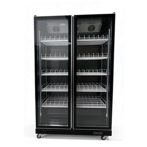 Réfrigérateur commercial à 2 portes vitrées pour boissons, vitrine réfrigérée à économie d'énergie pour bars, restaurants et commerces de détail - Product Image 2