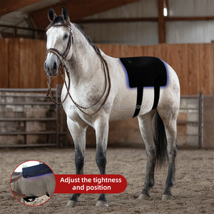 Pads de luminothérapie rouge portables à longueur d'onde personnalisable (440nm, 660nm, 850nm) avec batterie rechargeable intégrée et minuteur de 15 minutes pour chevaux - Product Image 5