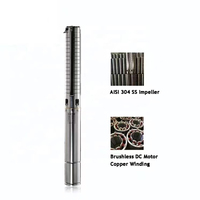 Pompes à eau Skycorp personnalisables avec moteur CC sans balais AC/DC de 3 et 4 pouces, 24V-220V, haute pression, avec impeller en acier inoxydable 304