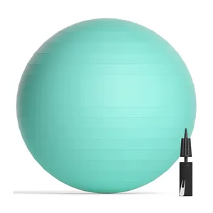 Экологически чистый мяч для йоги из ПВХ с принтом логотипа на заказ, не скользит, 65 см
