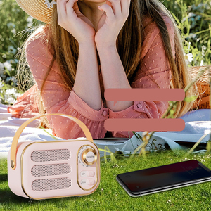 Altavoz Bluetooth Retro Vintage YX006, IP67 Impermeable, Sonido HIFI, Puerto para Tarjeta TF, Luz LED, Portátil para Exteriores, Regalo, Venta al Por Mayor OEM - Product Image 6