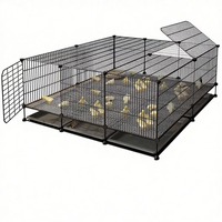 Cage d'élevage moderne robuste anti-souris et anti-guêpe en fil de fer crypté pour l'élevage de volailles (80 poussins, cailles, canards)