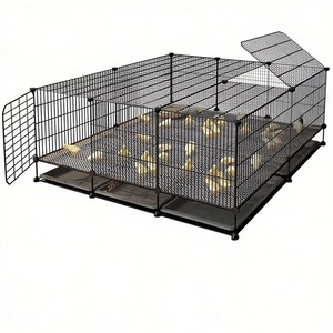 Cage d'élevage moderne robuste anti-souris et anti-guêpe en fil de fer crypté pour l'élevage de volailles (80 poussins, cailles, canards) - Product Image 2