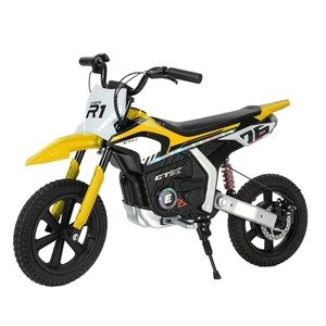E MOTO R1 Electric Motorcycle 24V 300W Brushless Motor Off Road Kids Adult Use - Product Image 2
