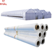 Film de serre transparent Rival 200 microns 8 mil, 5 couches coextrudées, protection UV, anti-goutte, en PE, pour couverture agricole, découpe sur mesure