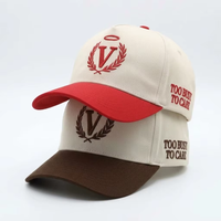 Casquettes de baseball classiques personnalisées avec logo brodé 3D, 5 panneaux, en coton, à visière incurvée, pour homme