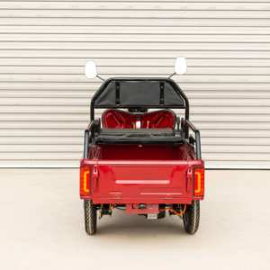 Hot Selling Passenger Tricycle for Tourism Transport - Product Image 4