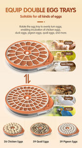 <span class=keywords><strong>2026</strong></span> नई प्रवृत्ति आई नियंत्रक 26 59 पूर्ण स्वचालित बतख अंडे इनक्यूबेटर चिकन अंडे के लिए ऑटोटैक इन्क्यूबेटर कूवटर का उपयोग करें - Product Image 4